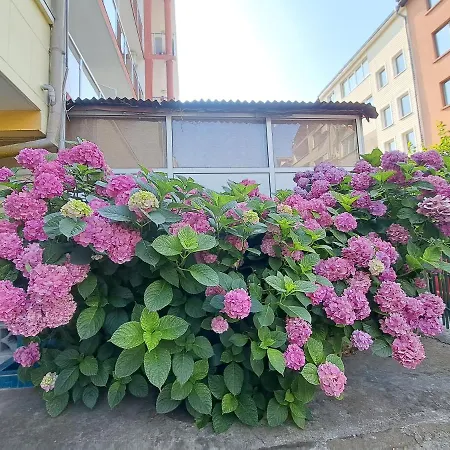 Summer - Sunny Πριμόρσκο