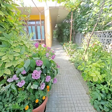 Apartman Summer - Sunny *