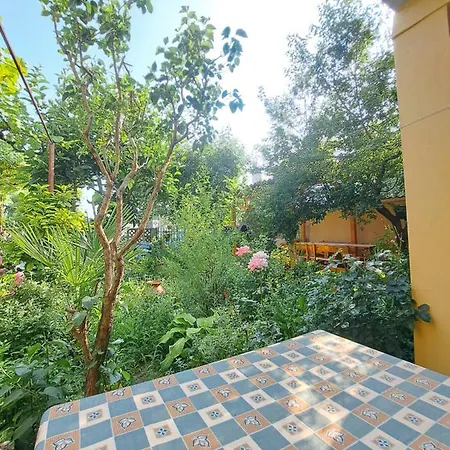 Summer - Sunny Apartman